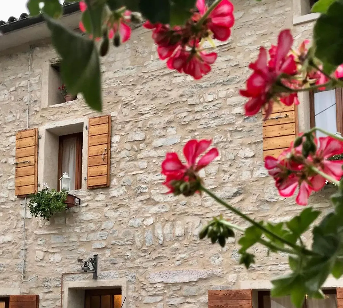 Casa vacanze Casa Nonna Elisa 